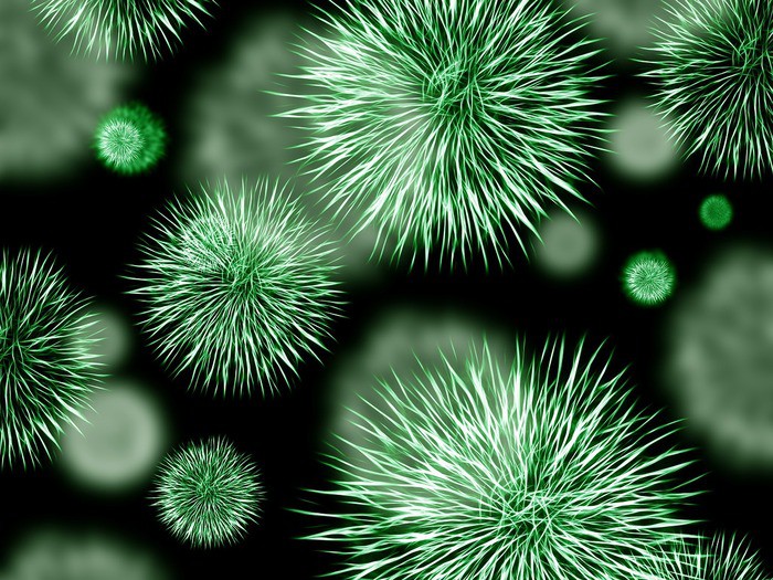 Fossa delle Marianne: i misteriosi microbi magnetici portano ad una nuova evoluzione