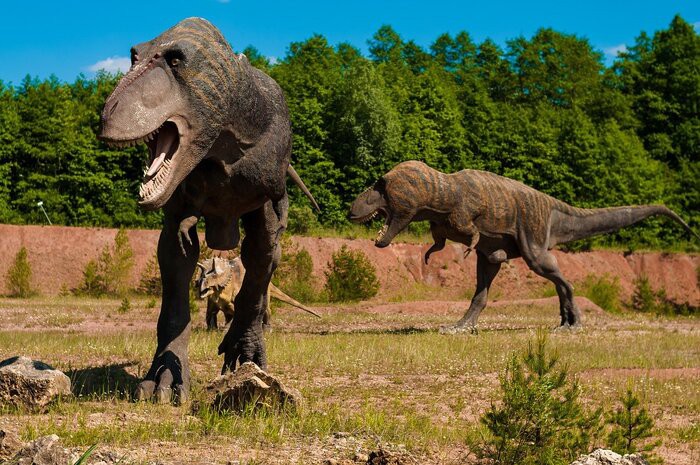 Dinosauri: queste creature avevano il sangue caldo o freddo?