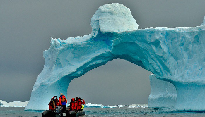 Antartide sempre più verde: un segnale allarmante