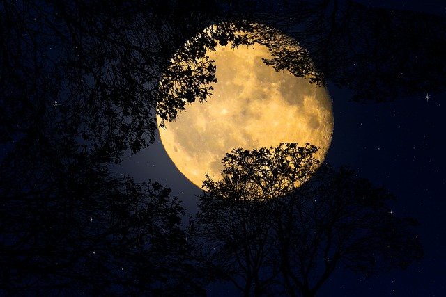 Superluna di luglio: in arrivo la più spettacolare luna piena del 2022
