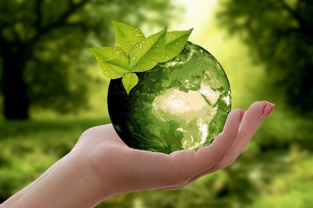 Giornata Mondiale della Terra 2022: investire nel nostro Pianeta