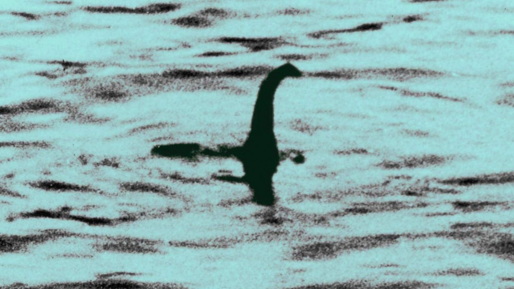 Smentita la teoria secondo cui Nessie potrebbe essere stata una parte di balena