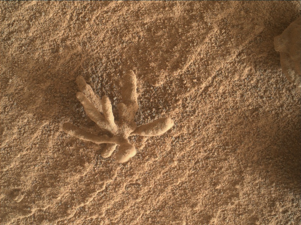 Marte: il rover Curiosity fotografa fiori minerali sulla sua superficie