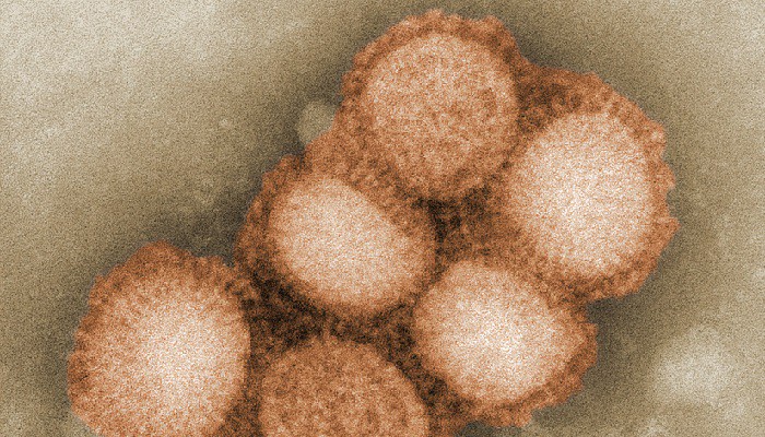 Omicron BA.2: la nuova variante del coronavirus desta preoccupazione