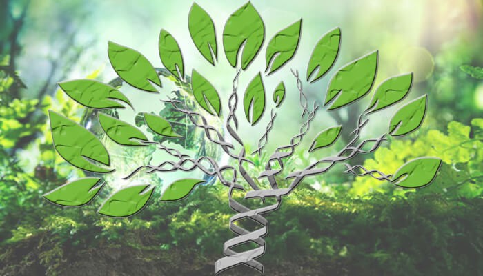 La genetica potrebbe ridisegnare la maggior parte degli alberi evolutivi